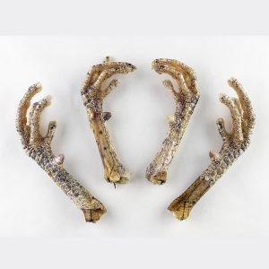 Notti Farm Dragon Claws